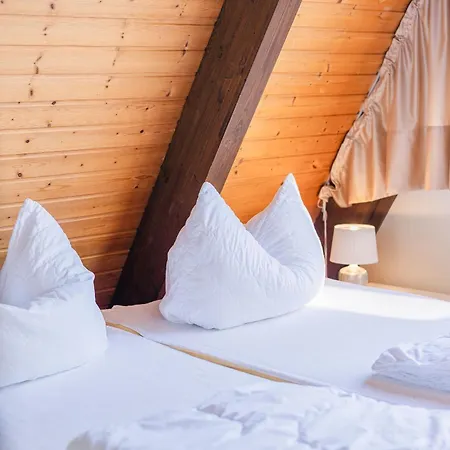Hébergement de vacances Ferienwohnpark Nurdachhaus Typ 8 Ndw 112 *